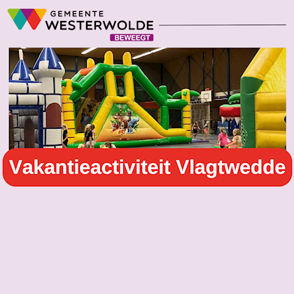Springkussenfestijn Vlagtwedde